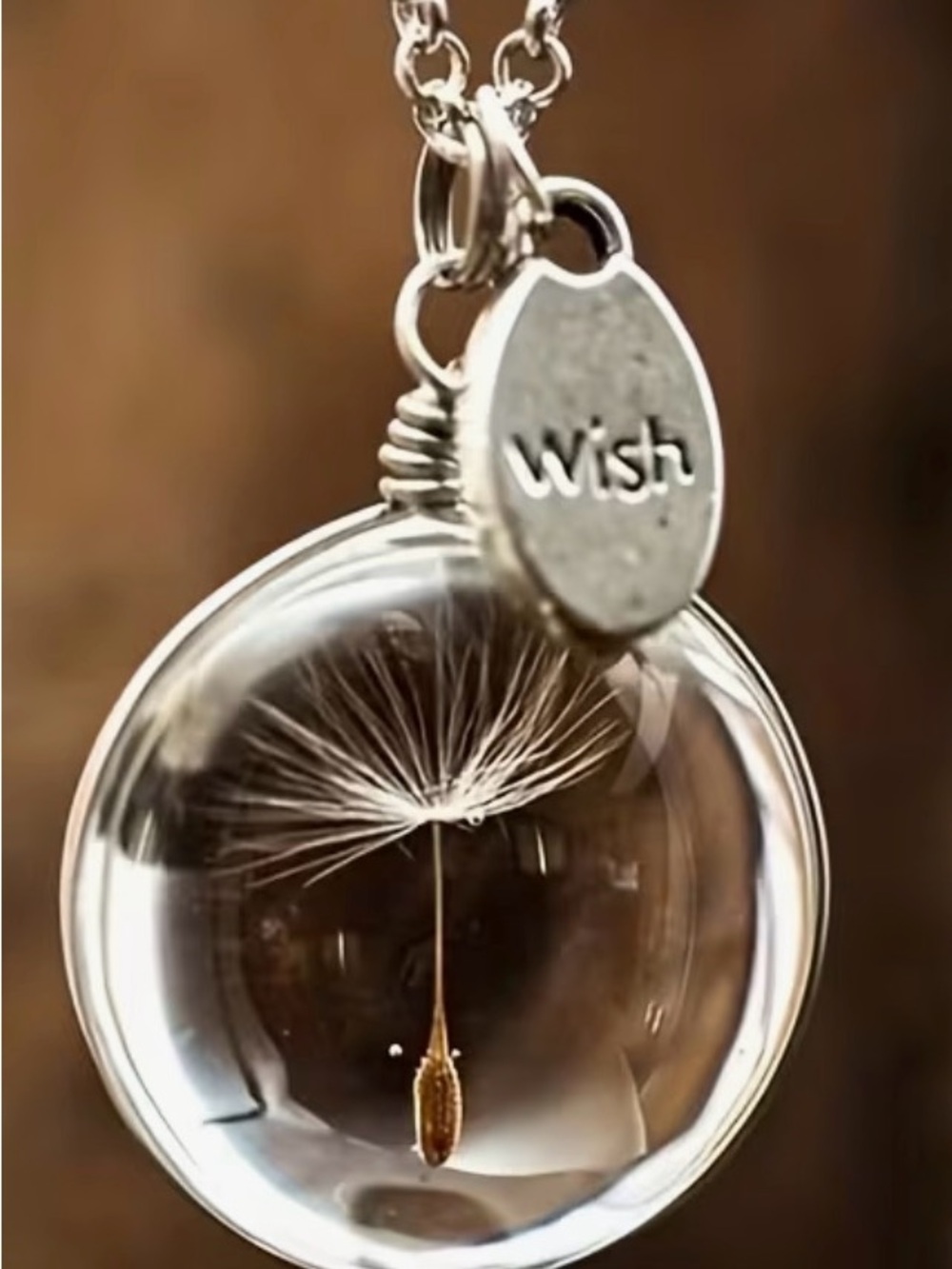 Silver Tone 'Wish' Dandelion Globe Pendant Necklace - Clear